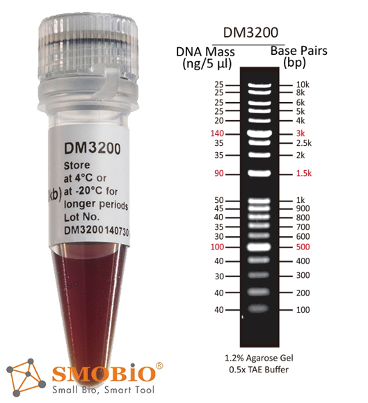 DNA Ladder Extra-Large Size