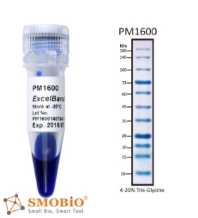 Picture of PM1600, (2x250µl) ExcèlBand™ 9-180kDa, 11 prestained, All Blue Regular Range Protèin Markèr, 100 loads