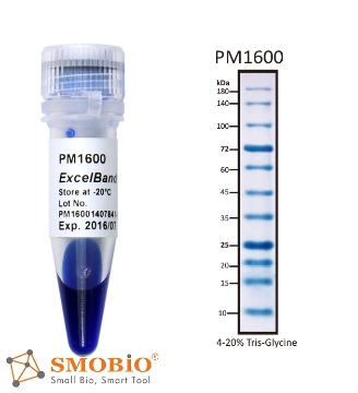 Picture of PM1600, (2x250µl) ExcèlBand™ 9-180kDa, 11 prestained, All Blue Regular Range Protèin Markèr, 100 loads