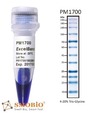 Picture of PM1700, (2x250µl) ExcèlBand™ 9-240kDa, 12 Prestained, All Blue Broad Range Protèin Markèr, 100 loads