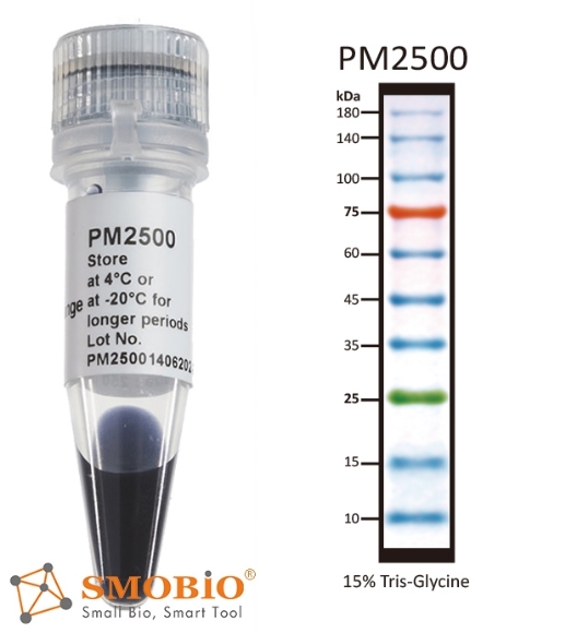 Picture of PM2500, (2x250µl) ExcèlBand™ 9-180kDa, 10 Prestained, 3-color Regular Range Protèin Markèr, 100 Loads