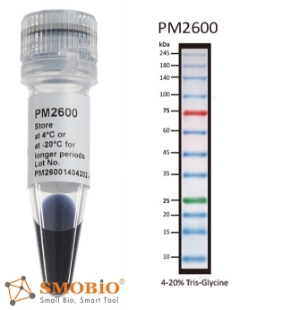 Picture of PM2600, (2x250µl) ExcèlBand™ 9 to 245 kDa, 12 Prestained, 3 color High Range Protèin Markèr, 100 loads