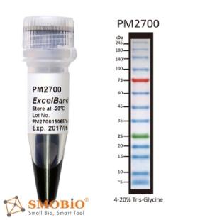 Picture of PM2700, (2x250µl) ExcèlBand™ 3.5-245kDa, 13 Prestained, 3 color Broad Range Protèin Markèr, 100 loads