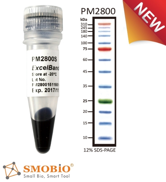 Picture of PM2800, (2x250µl) ExcèlBand™ 10-310 kDa, 13 Prestained, 3 color Extra Range Protèin Markèr, 100 loads