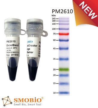 Picture of PM2610, (2x250µl) ExcèlBand™ 9-245kDa, 12 Prestained, Enhanced 3 color High Range Protèin Markèr, 100 loads