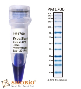 Picture of PM1700-2, MAX-SIZE (6x250µl) ExcèlBand™ 9-240kDa, 12 Prestained, All Blue Broad Range Protèin Markèr, 300 loads