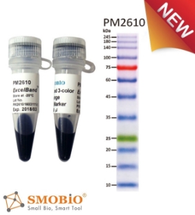 Picture of PM2610-2, MAX-SIZE (6x250µl) ExcèlBand™ 10-245kDa, 12 Prestained, Enhanced 3 color High Range Protèin Markèr, 300 loads