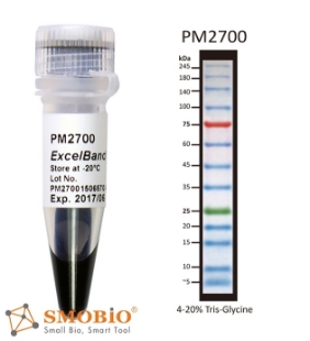 Picture of PM2700-2, MAX-SIZE (6x250µl) ExcèlBand™ 3.5-245kDa, 13 Prestained, 3 color Broad Range Protèin Markèr, 300 loads