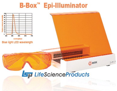 Picture for category B-Box Epi-Illuminator