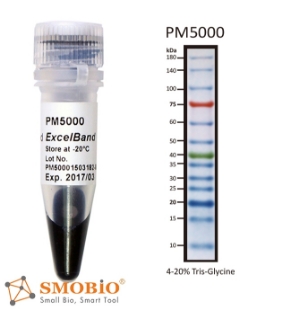 Picture of PM5000, (2x250µl) ExcèlBand™ 9-180 kDa, 13 Prestained Protèin Laddèr, 3 color Regular Range, 100 loads