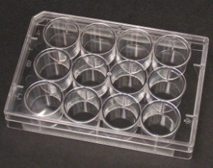 12 well cell culture plate