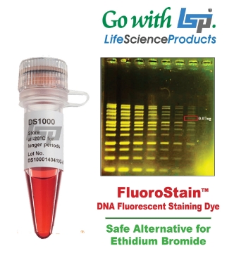 Picture of FluoroStain DNA Fluorescent Staining Dye, Green 10,000X, Specify 500ul or 500ul x 5 (Safe Alternative for Ethidium Bromide)