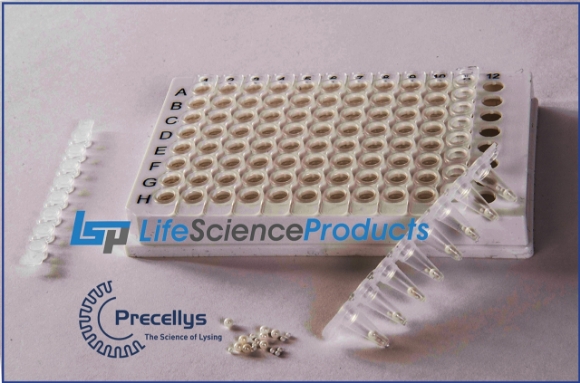 Precellys CKMix 96-well Lysing Plate Kit KT03961-1-709.WP. Life Science  Products