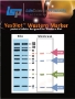 Picture of YesBlot™ Western Markèr I (10- 200kDa), 50 applications