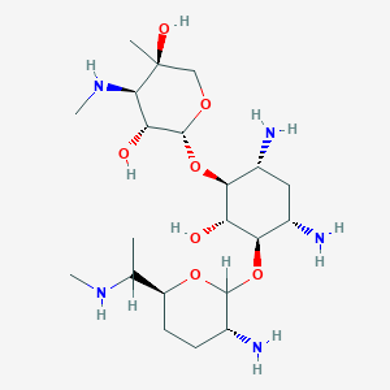 Picture for category Gentamycin