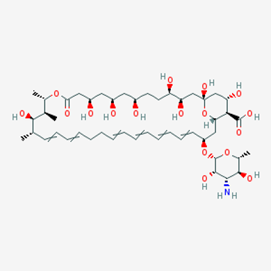 Picture for category Nystatin