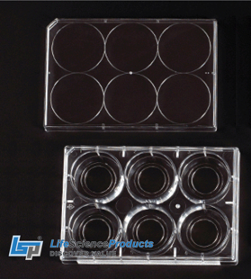 Picture of Sterile, 6 Well Tissue Culture Plate with Lid, 20mm Glass Bottom, 5/case