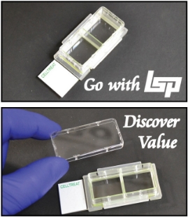 Picture of CellTtreat,  2 Chamber Cell Culture Slide, Glass, Sterile 12/case