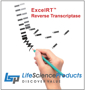 Picture of RP1000, ExcelRT Reverse Transcriptase (M-MLV), 20,000 U, 200 U/µl