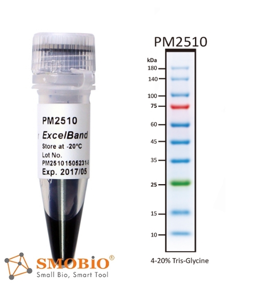 Picture of PM2510, (2x250µl) ExcèlBand™ 9-180kDa, 10 Prestained, Enhanced 3-color Regular Range Protèin Markèr, 100 Loads