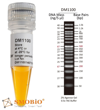 Picture of SMOBIO AccuBand™ 50 bp DNA Ladder II (13 fragments), Ready-to-use, 100 loadings (DM1200)