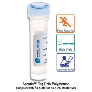 Picture of Accuris, Táq DNA Polymerase, 500 units (5u/µl)