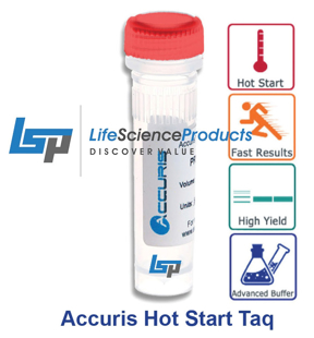 Picture of Accuris, Hot Start Táq DNA Polymerase with 5X buffer,  500 units (5 units/µl)