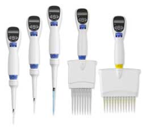 Picture of Labnet Excel Single-Channel, 8-Channel, & 12-Channel Electronic Pipettes