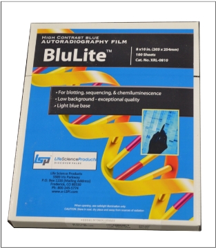 Picture of 8" x 10" X-Ray Autoradiography BluLite Film, Ideal for Western Blots, 100/box