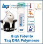 Picture of High Fidelity Taq DNA Polymerase, 2X Master Mixes