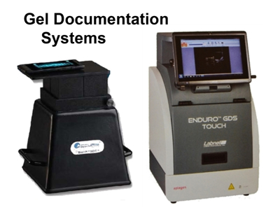 Picture for category Gel Doc Systems