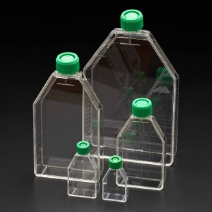 Picture of CellTreat Brand 225cm²  (700ml) Tissue Culture Flαsks with Vent Filter Cap, 25/case