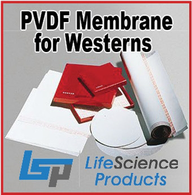 Picture for category Polyvinylidene Fluoride Membrane (PVDF)