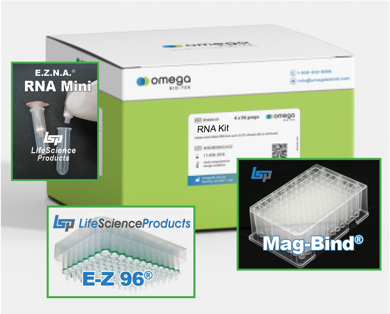 Picture for category RNA Purification Kits - from Omega Biotek