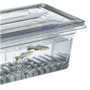 Picture of Dura-Cross™ Zebra Fish Breeding Tank