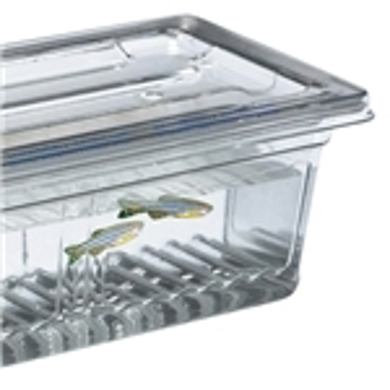 Picture for category Zebra Fish Breeding Tank