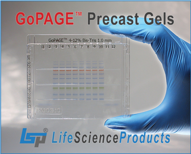 Picture for category Gel (Precast PAGE Gel)