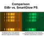 Picture of SmartGlow™ PS (Pre-Stain) for Nucleic Acid Gels (The Safe Alternative for Ethidium Bromide) 1ml (20,000X)