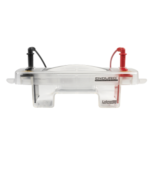 Picture of Labnet Enduro™ 7 x 10cm Horizontal Electrophoresis Unit