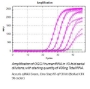 Picture of Accuris, qMAX™ One-Step RT-qPCR Kits » RNA to cDNA to qPCR in One tube