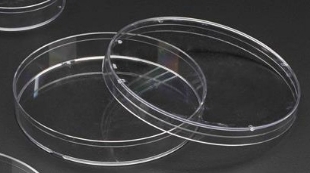 Picture of Celltreat Brand - Sterile, 100x15mm Pètri Dishes, Stackable, 500/case