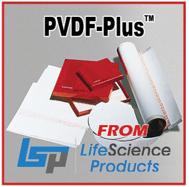 Picture for category GVS Group - PVDF-Plus™ Transfer Membrane, Polyvinylidene Fluoride