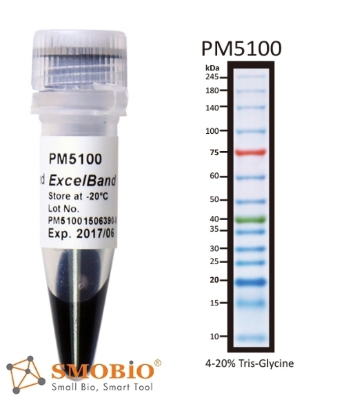 Picture of PM5100-2, MAXI-SIZE (6x250µl) ExcèlBand™ - 3 Color, 14 Pre-Stained Protèin Laddèr, High Range (9-245 kDa)