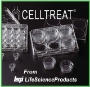 Picture of CellTreat Permeable Cell Culture Inserts for 6-well, 12-well, and 24-well Plates