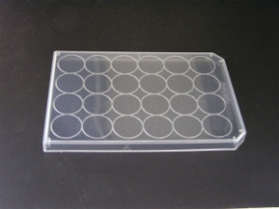 Picture of Non-Sterile, Polystyrene Lids for 24-well platès (MP8124-F) with 24 well rings, A6 & D6 Notch Cuts (7x15) 105/case