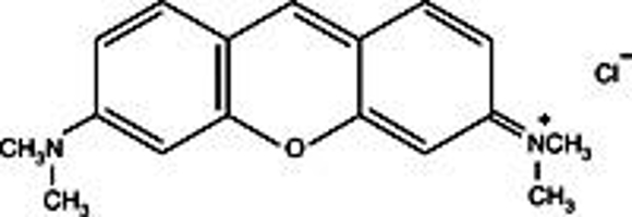 Picture of Pyronin Y, 5 gram bottle