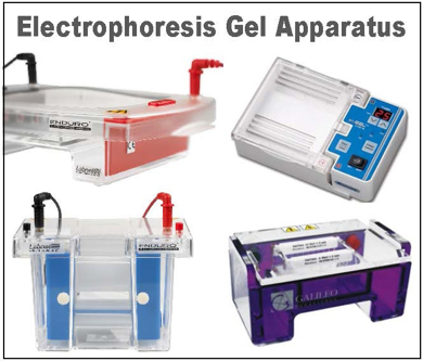 Picture for category Horizontal Electrophoresis