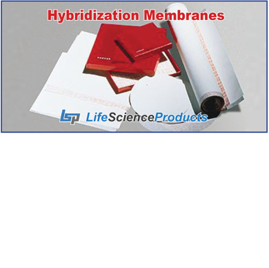 Picture for category Hybridization Membranes