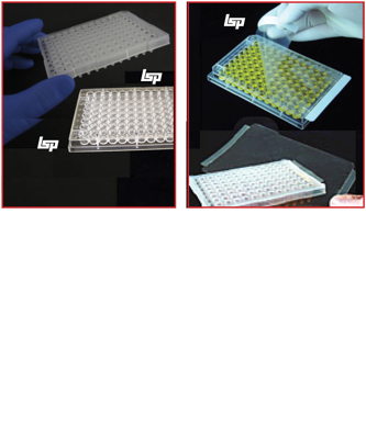 Picture for category PLATES - PCR, Culture, Assay, ELISA