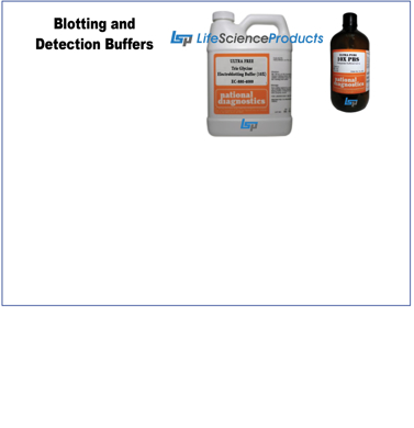 Picture for category Blotting and Detection Buffers